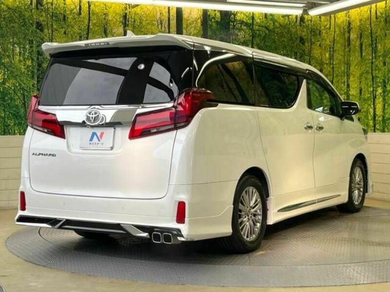 ALPHARD-17