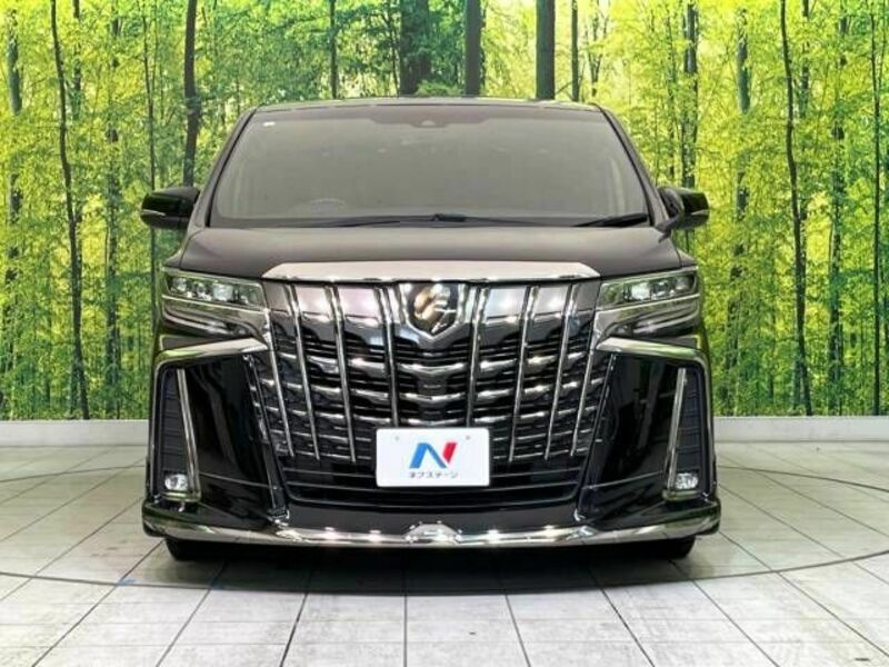 ALPHARD-15