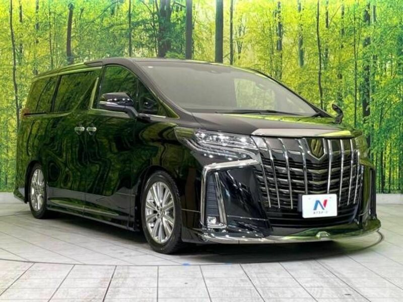 ALPHARD-17