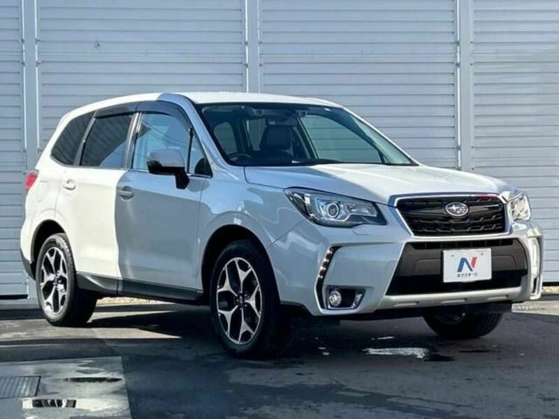 FORESTER-17