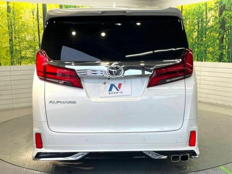 ALPHARD-16