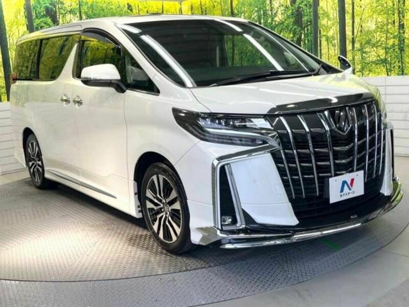 ALPHARD-17