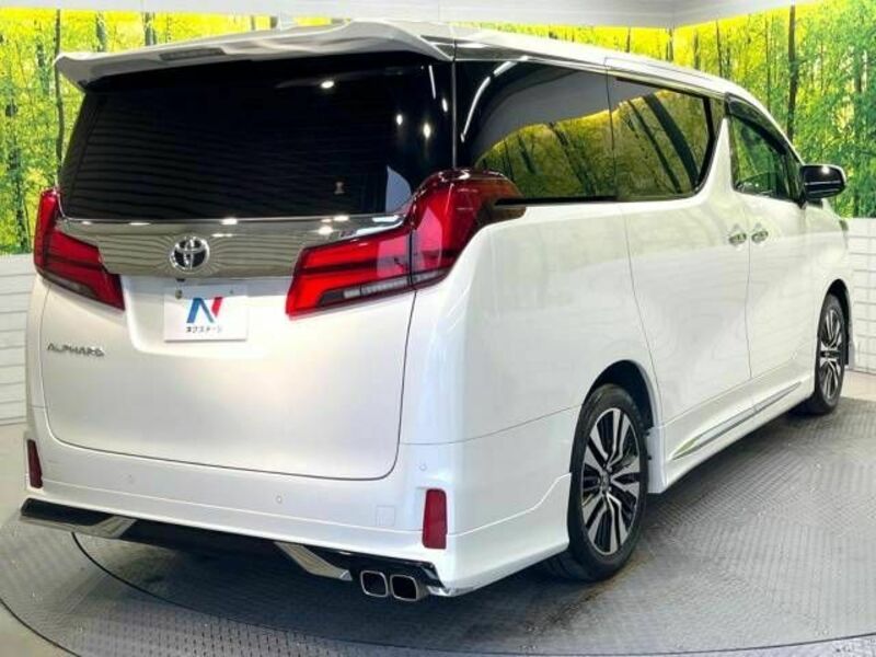 ALPHARD-18