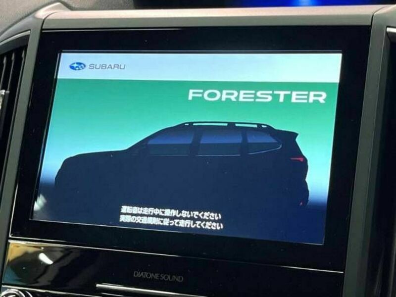 FORESTER-2