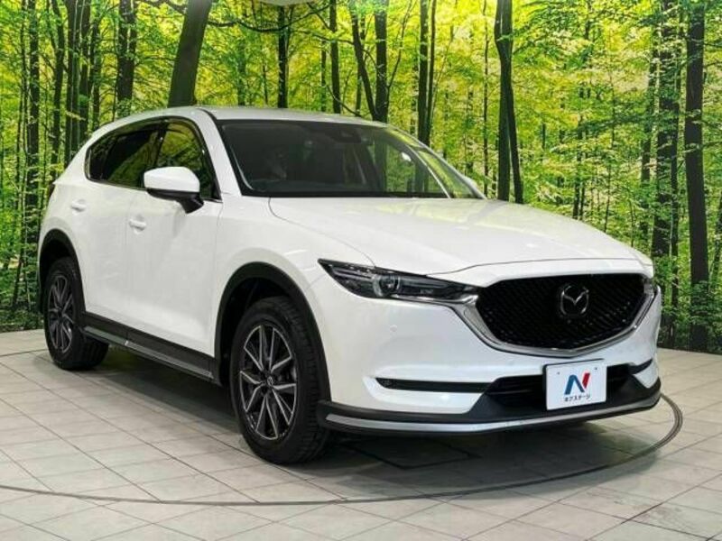 CX-5-17