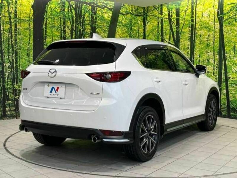 CX-5-18