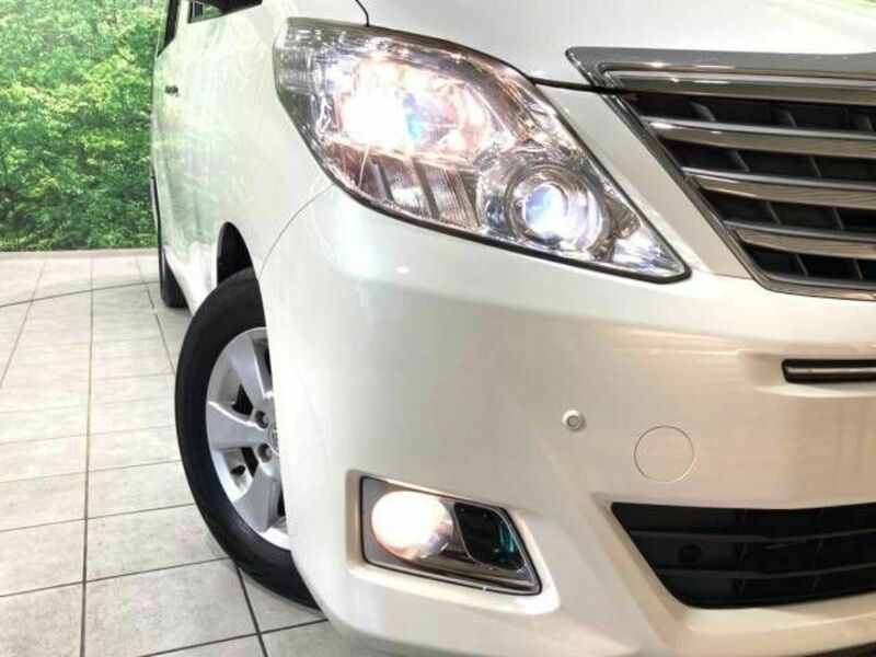 ALPHARD-12