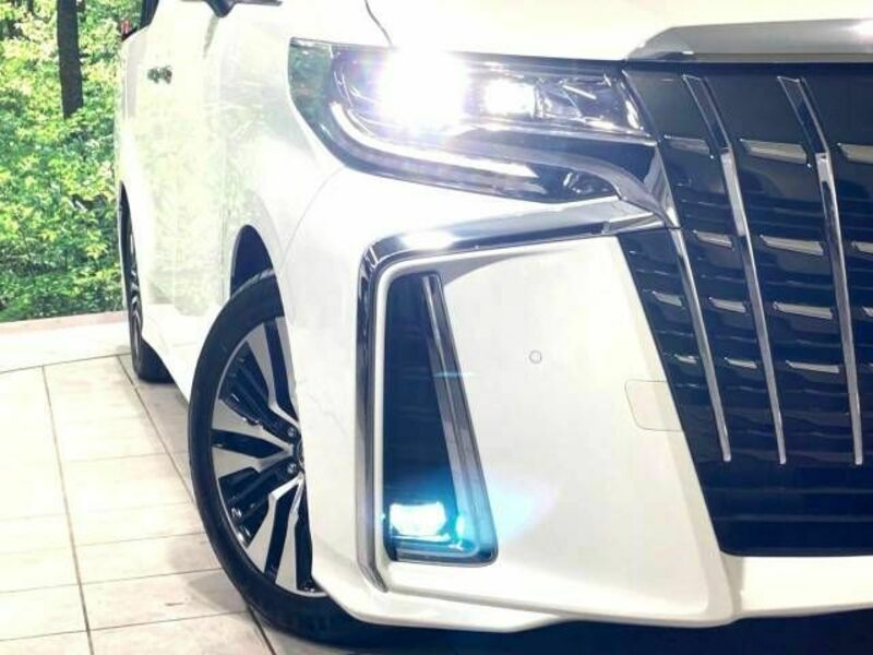 ALPHARD-13