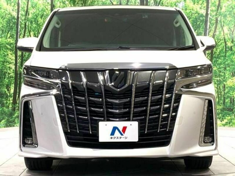 ALPHARD-15