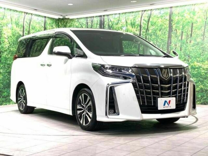 ALPHARD-17