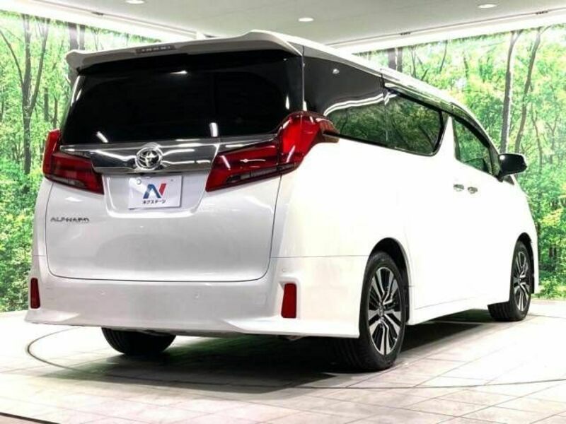 ALPHARD-18