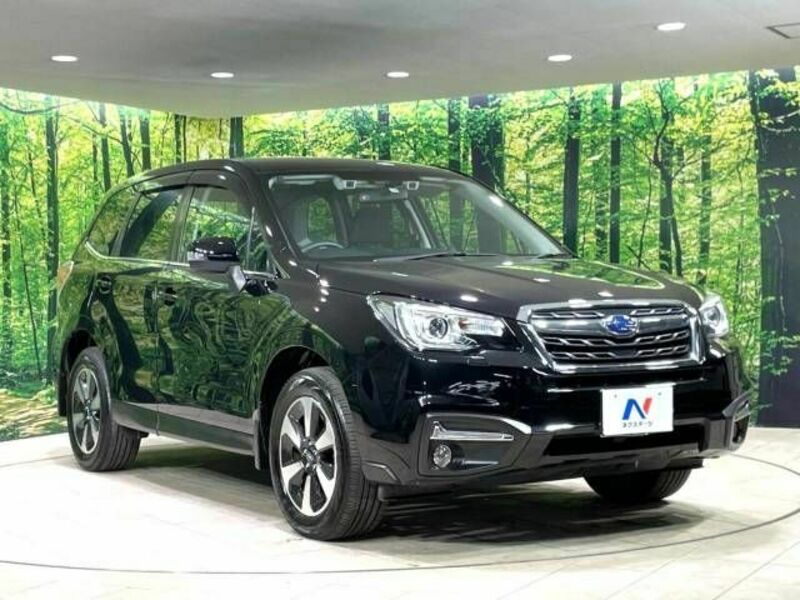 FORESTER-16