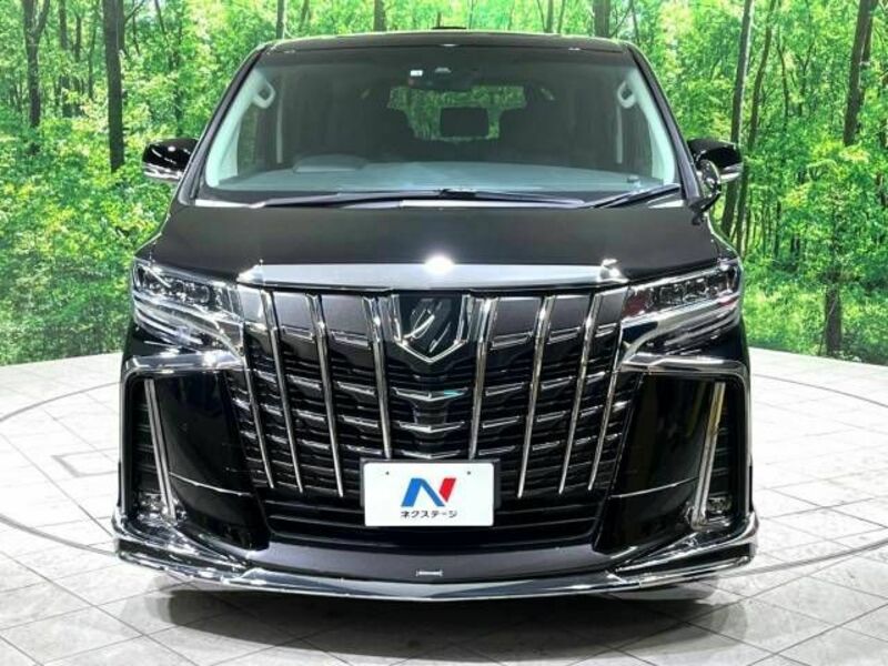 ALPHARD-17