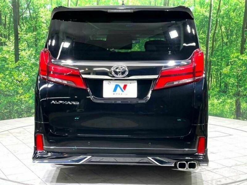 ALPHARD-18