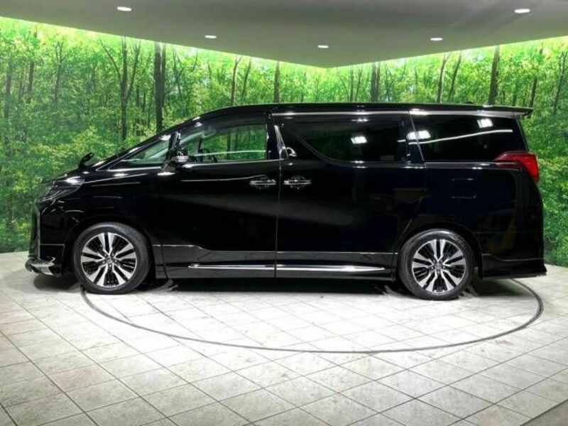 ALPHARD-19