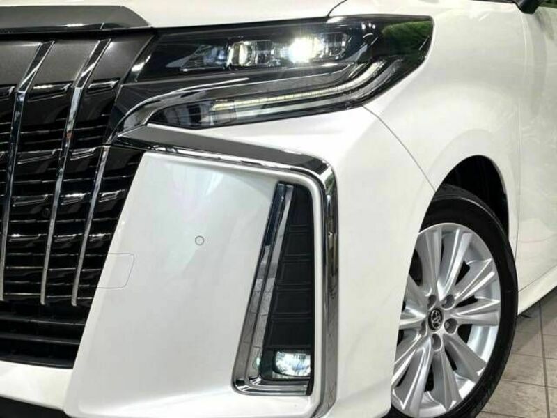 ALPHARD-13