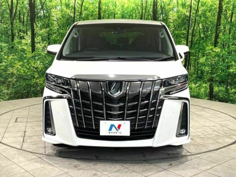 ALPHARD-15