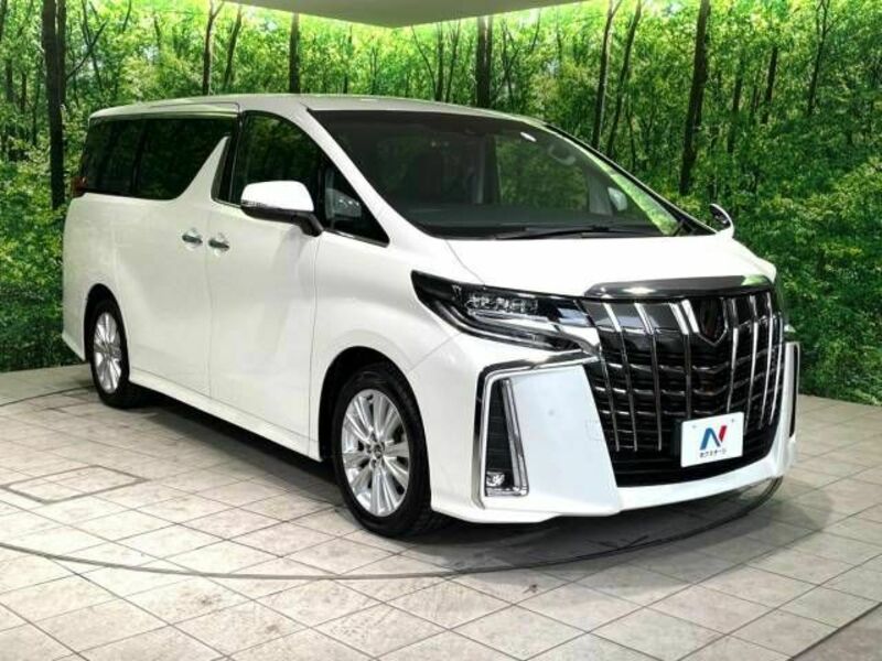 ALPHARD-17