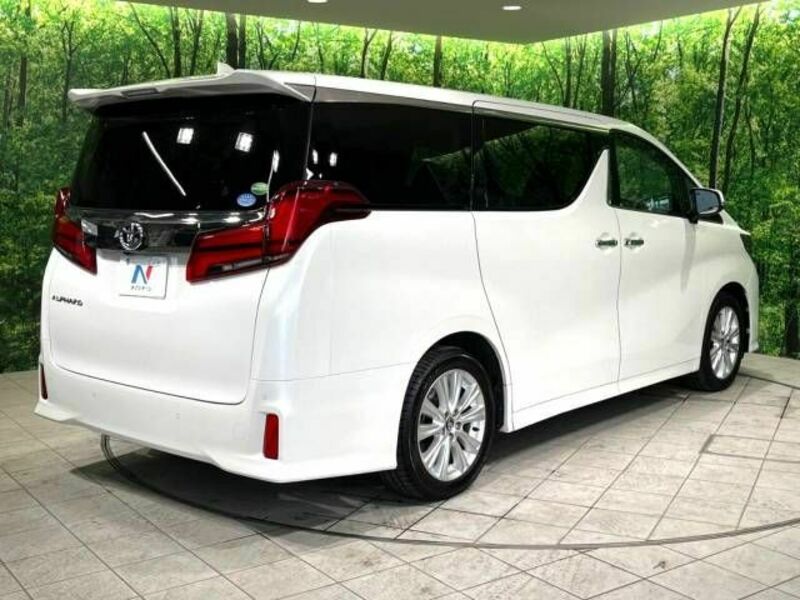 ALPHARD-18