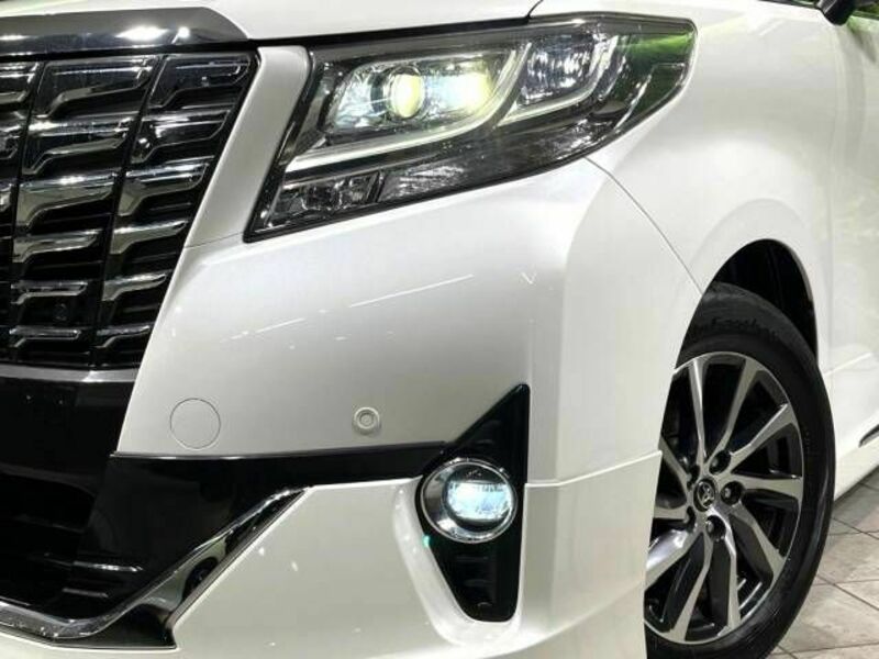 ALPHARD-13