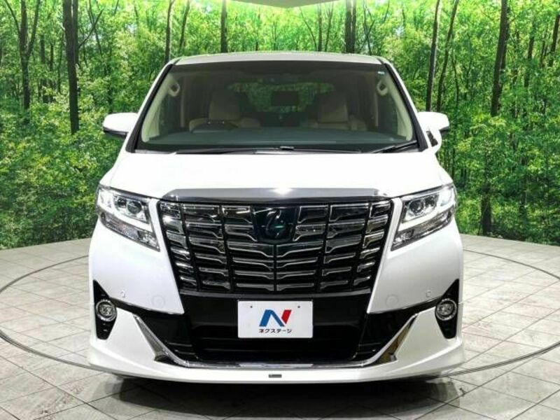 ALPHARD-15