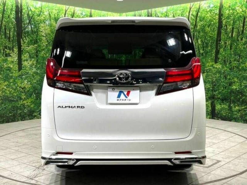 ALPHARD-16