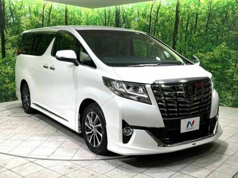 ALPHARD-17