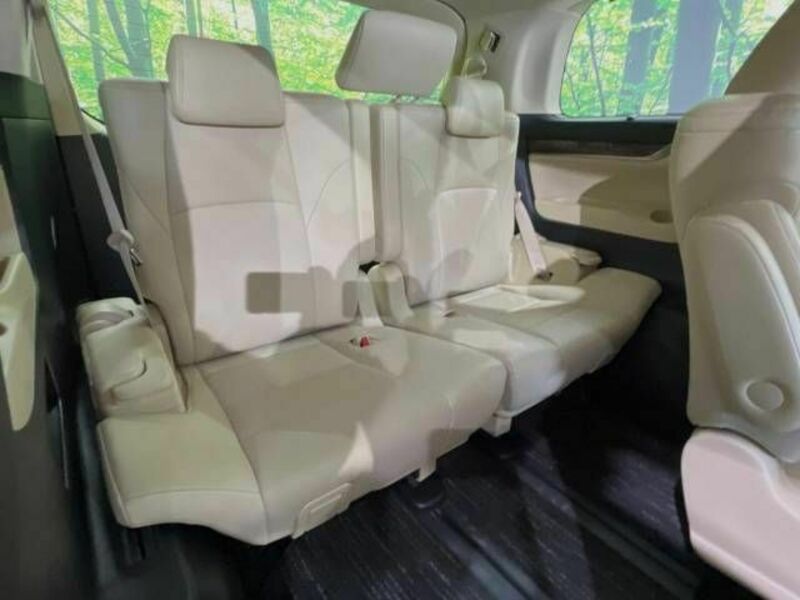 ALPHARD-10