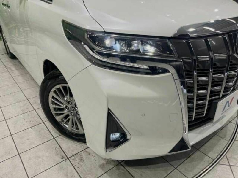 ALPHARD-13