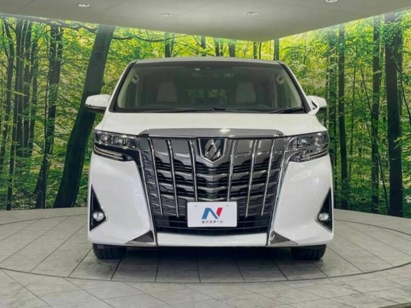 ALPHARD-15