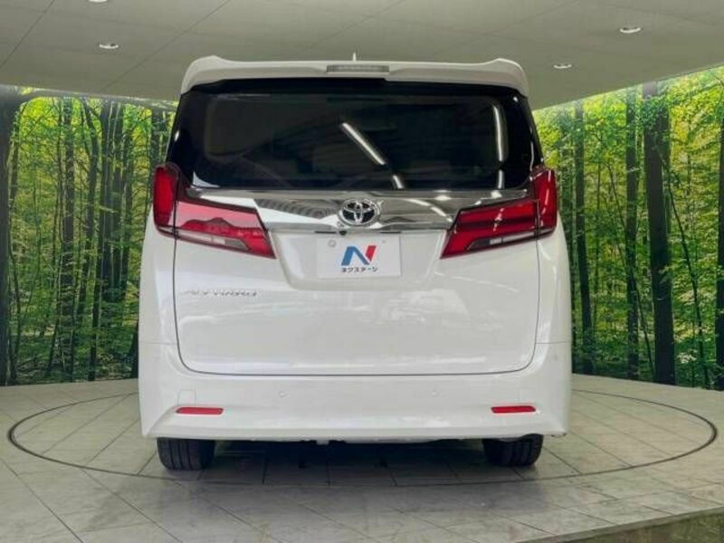 ALPHARD-16