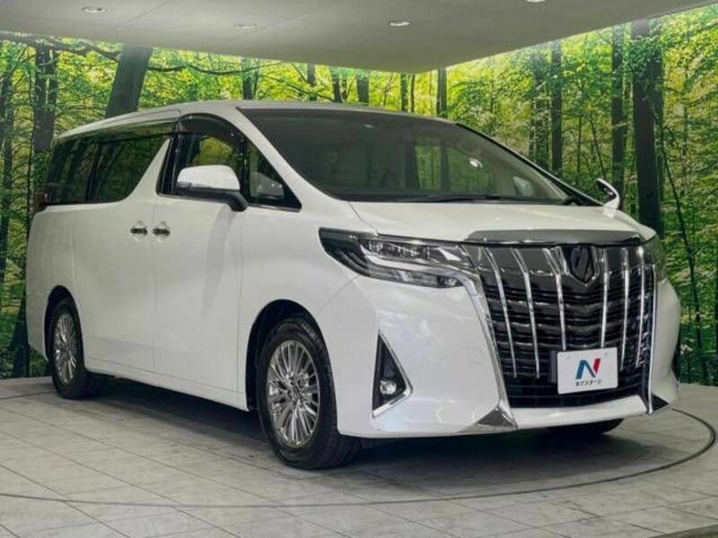 ALPHARD-17