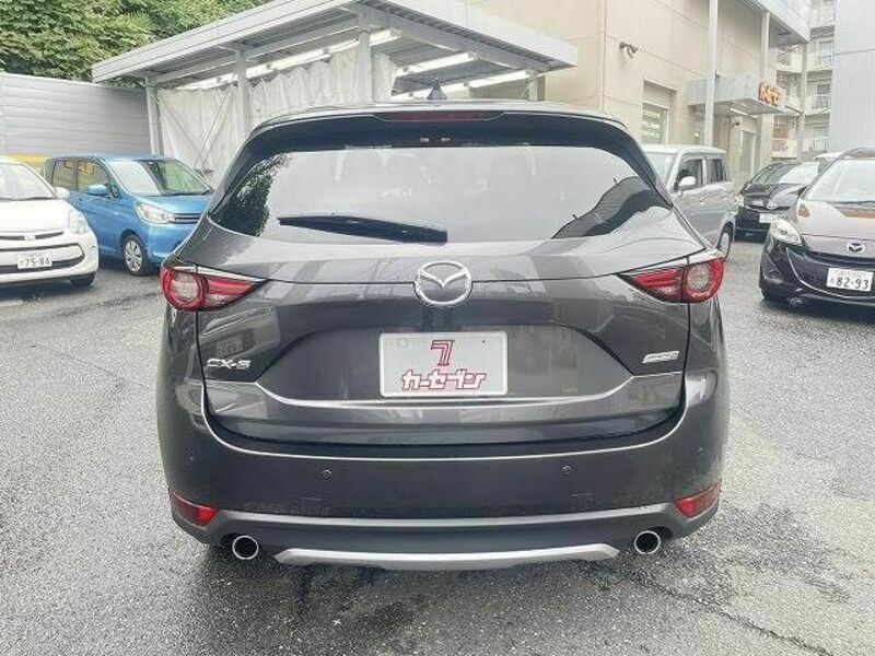 CX-5-19