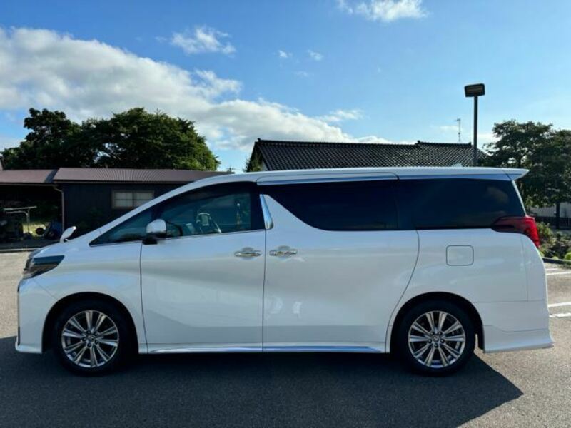 ALPHARD-8