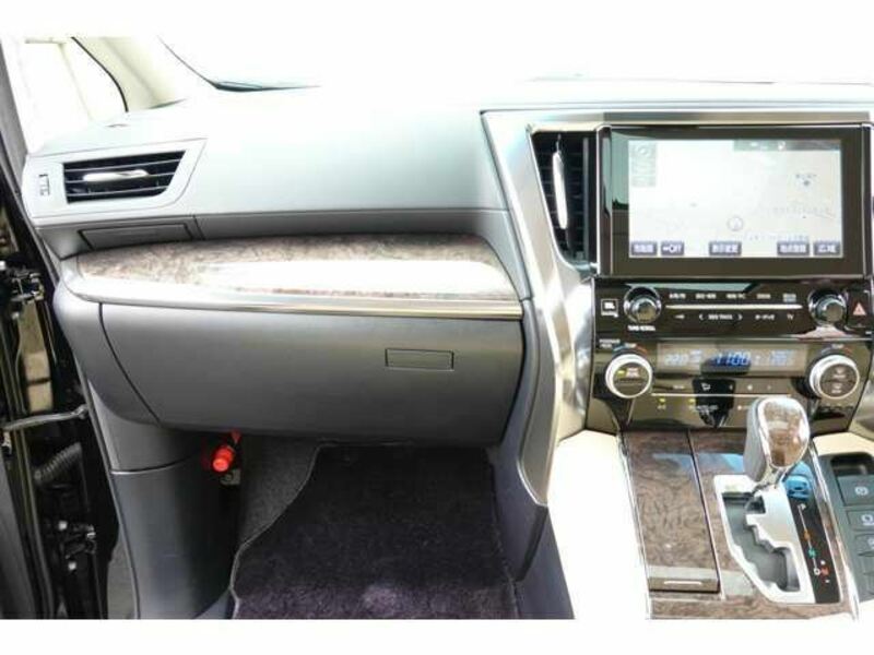 ALPHARD-22