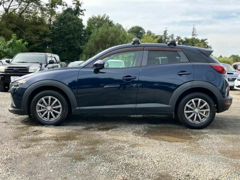 CX-3-6