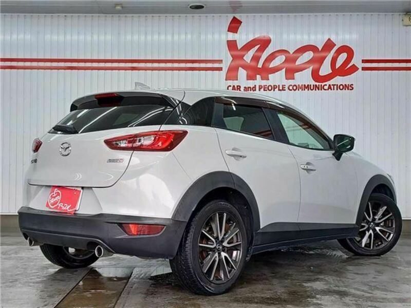 CX-3-1