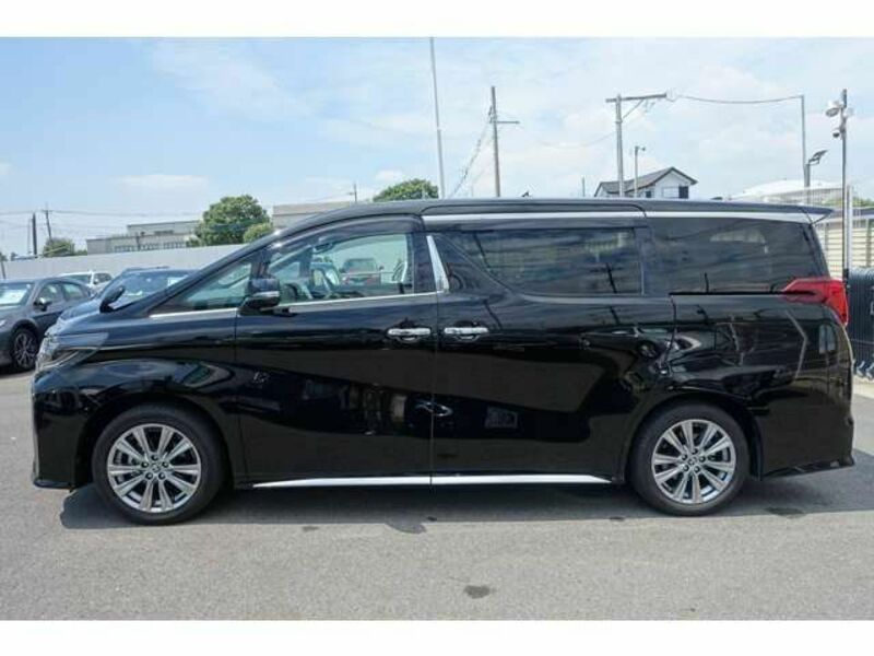 ALPHARD-3