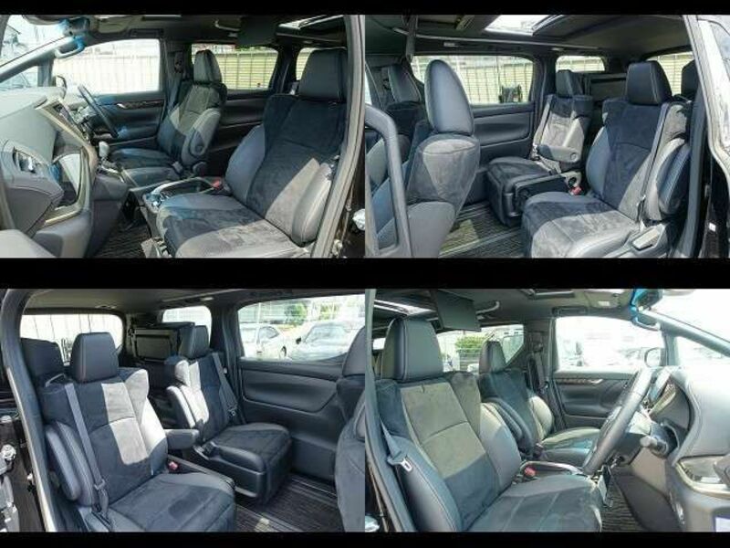 ALPHARD-10