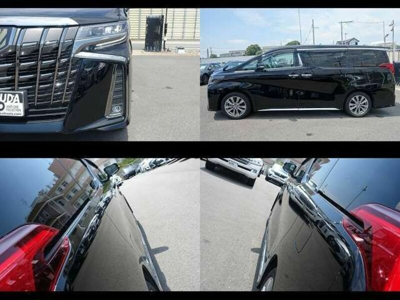 ALPHARD-11