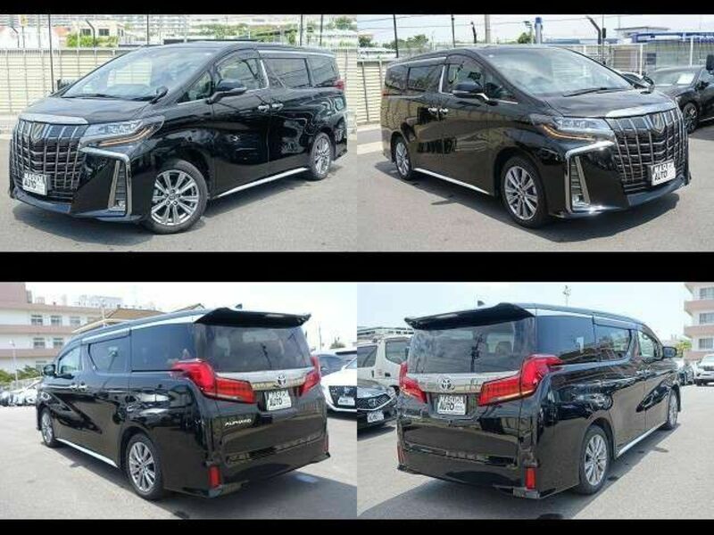 ALPHARD-15