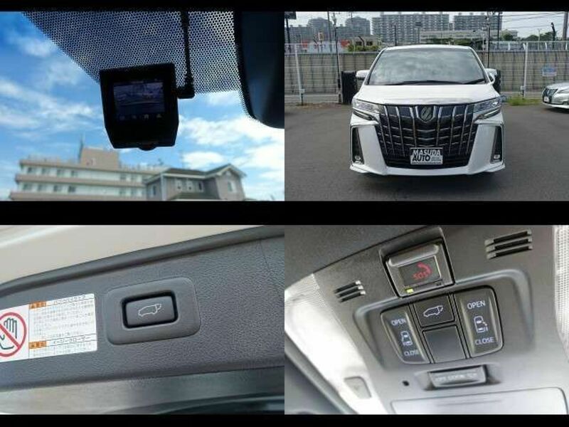 ALPHARD-10