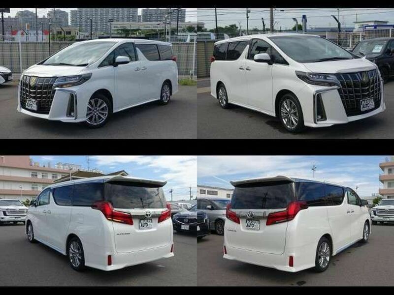 ALPHARD-13