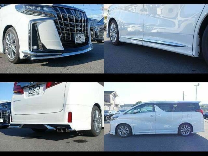 ALPHARD-12