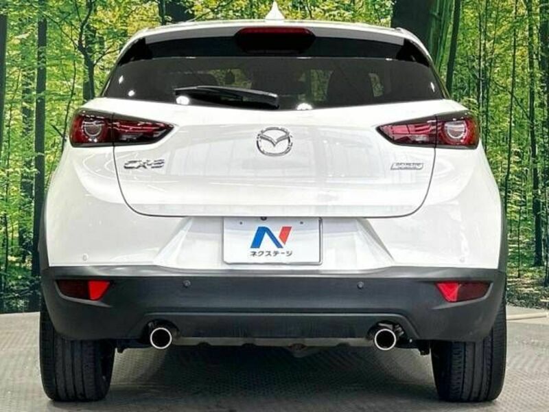 CX-3-15