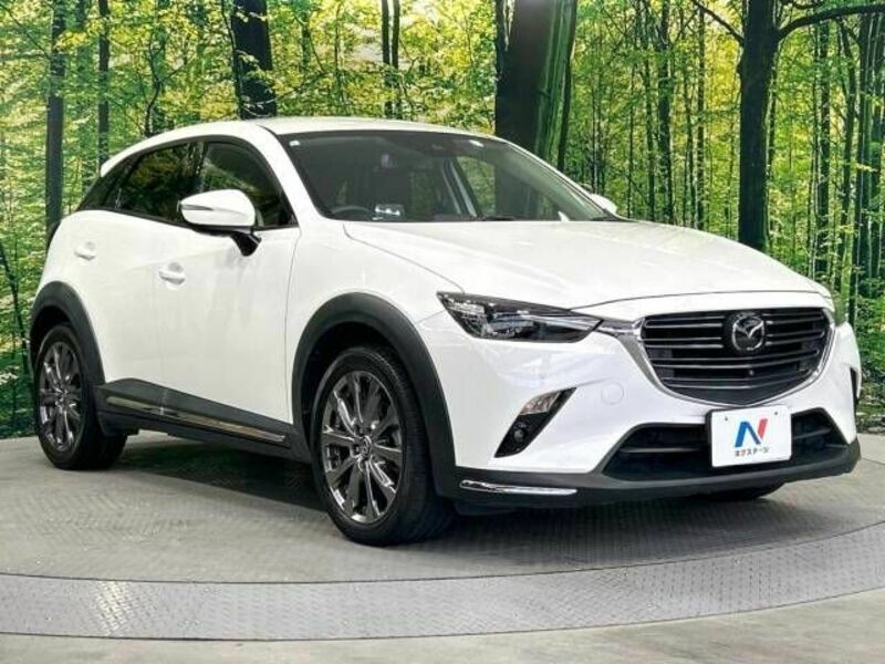 CX-3-16