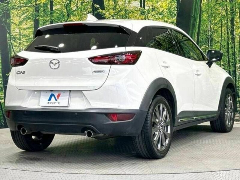 CX-3-17