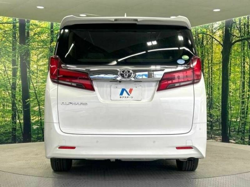 ALPHARD-16