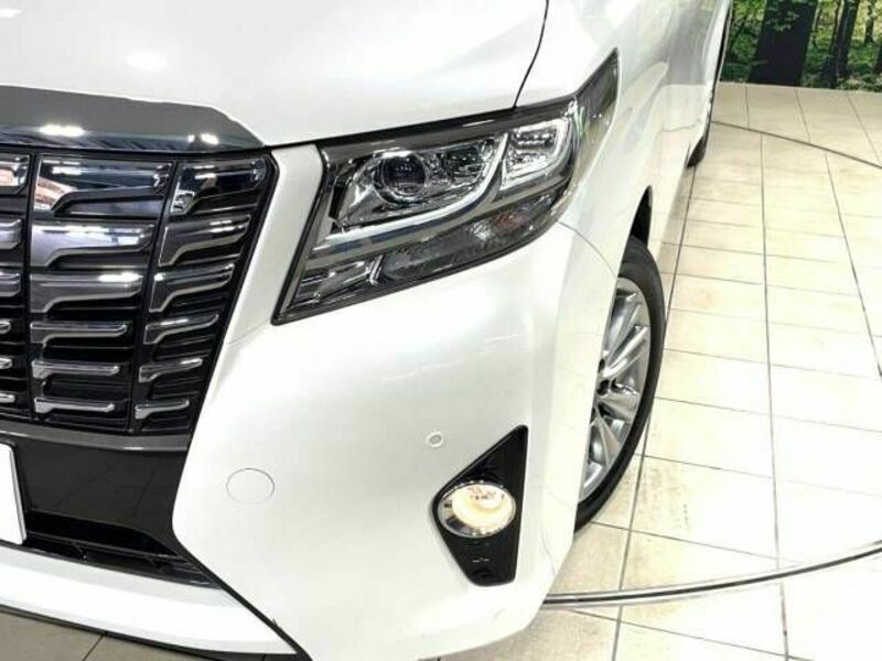 ALPHARD-13