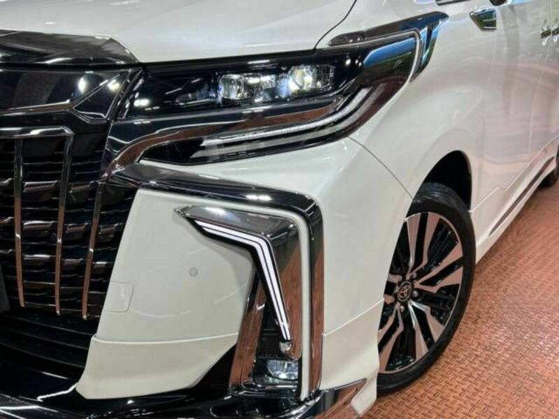 ALPHARD-13